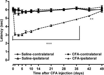 Morphine Antinociception Restored by Use of Methadone in the Morphine-Resistant Inflammatory Pain State